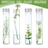 Dandat 80 Pcs 65ml Clear Flat Plastic Test Tubes with Screw Caps for Sample Testing and Party Favors