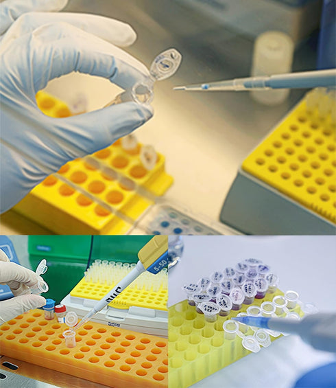 50pcs 10ml Clear Plastic Centrifuge Tubes, EP Lab Vials, Small Liquid Test Sample Storage Container with Snap Caps