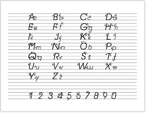 iScholar Multi-Method Primary Tablet, 0.5 Inch Ruling, 40 Sheets, 11 x 8.5 Inches (11803), Blue