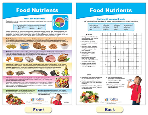 NewPath Learning MyPlate Food Groups Bulletin Board Charts, Set of 8, Laminated, Double-Sided, 12" x 18"