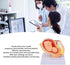 LJCM 9 Months Baby Fetus Model, Female Pelvis Model for Pregnancy, Clear Structure, High Simulation for Science