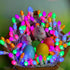 C3 50 Count 120V Easter String Lights LED Multi Color Glass Lights Easter Pastel Light UL Certified Connectable Outdoor