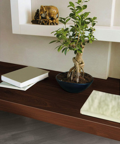 d-c-fix Peel and Stick Contact Paper, Apple Birch Wood Grain Self-Adhesive Film for Kitchen, 17.7" x 78.7"