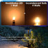 T10 Wedge Base LED Bulb 12V DC 1W, T5 T10 Low Voltage Landscape Light Bulbs, 4 Watts Incandescent Bulb Equivalent, Soft Warm White 2700K 10-Count by Noobibaba
