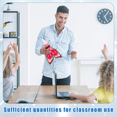 Libima 24 Sets Lung Model Respiratory System Model Toys Science Classroom Study Display Biologic Anatomy Doll and Human
