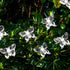 Solar String Lights, Waterproof 16ft 20LED Butterfly Christmas Fairy Lights for Home Party Wedding Patio Garden