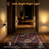 2 Pack, 0-100LM Dimmable, 3000K LED Night Lights Plug into Wall Acrylic Nightlight with Dusk to Dawn Sensor, Stepless