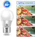 Energetic Lighting LED A15 Ceiling Fan Bulbs, 40 Watt Equivalent, 4000K Cool White, Dimmable, E26 Base, UL Listed, 6