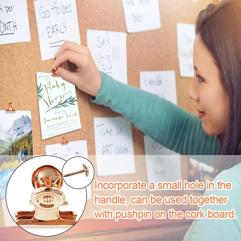 Small Bulldog Clips Rose Gold - Coideal 30 Pcs Mini Metal Binder Clips for Office Clamps and Photos
