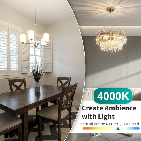G9 Bulb, 4000K G9 Bulbs 4W, 40W Non-dimmable, 400 T4 6 Pack DiCUNO LED Natural White, LED Light Equivalent to Halogen
