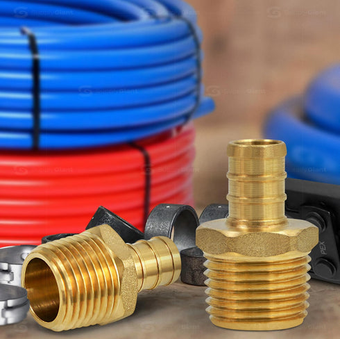 FQNB1010-OM 1 Inch x 1 Inch No Lead Adapters, Brass Construction Compatible w/PEX Piping, Easy to Install, 1 x 1
