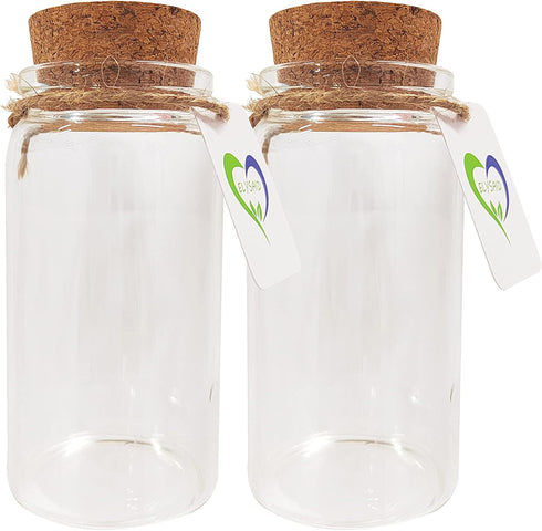 2pcs Empty Clear Glass Bottles, Vials with Cork Stopper, 47mm Bottle Diameter (47x90x33mm 100ml)