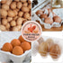 LUTER 2 inch Packaging (500pcs) Farm Fresh Eggs Carton Labels, Colorful Round Farm Fresh Stickers Egg Carton Stickers