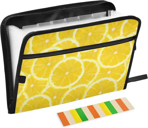 Expanding File Folder, 13 Pocket Accordion File Folders with Sticky Labels, A4 Letter Size Document Organizer with