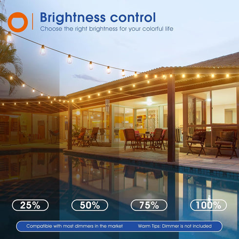 25FT 9 ST38 Bulbs(1 Dimmable 2200K addlon LED Outdoor String Lights Waterproof Patio Lights with Shatterproof