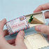 OAEUQ Red Paper Roses in Matchbox - Miniature Rose Bouquet Valentine's Gift for Her Unique Love Token Alternative