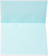 Papyrus Blank Card, Cherry Blossom Design
