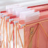 Y YOMA 6 Pack Extra Capacity Hanging File Folders with Handle, Cute Pink Accordion Decorative Folder with 1/5-Cut