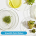 30Pack 90 x 15mm Plastic Petri Dishes, Culture Dishes with Lids for School and Laboratories