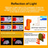 Physics Optics Experiment Set for Refraction and Reflection of Light, Educational Science Kits