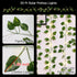 33ft 100 8 suddus Solar Fairy Lights, Led Pothos Leaf Solar String Lights Outdoor Waterproof, Modes Vines with Lights