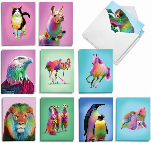 The Best Card Company Assorted Blank Greeting Card Box Set, 20 Cards + Envelopes, 10 Unique Designs, Colorful Creatures