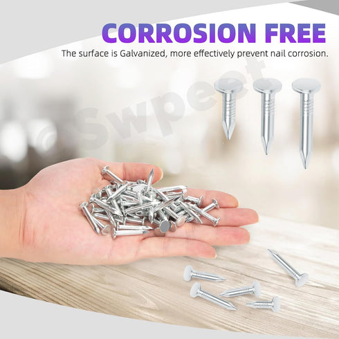Swpeet 300Pcs 3/4 Inch High Quality Galvanized Roofing Felt Nails for Fastening Roofing Felt and Asphalt Shingles