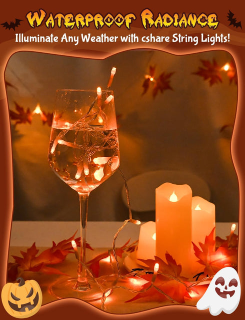 cshare 9.8ft 30LED Halloween String Lights Battery Operated With Timer - Orange Waterproof Lights for Outside
