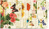 Grande Fleur File Folders, Set of 24 (6 Designs) with 1/3 Cut Staggered Tabs, Letter-Size Designed Folders