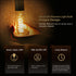 6 Pack ST19 LED Edison Bulbs, 6W (60W Equivalent), Soft White 2700K, Dimmable Vintage Filament Clear Glass