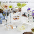 8 Pcs Real Insects in Resin Large Bug Collection Kit with Flying Insects, Butterflies Includes Specimen ID Cards