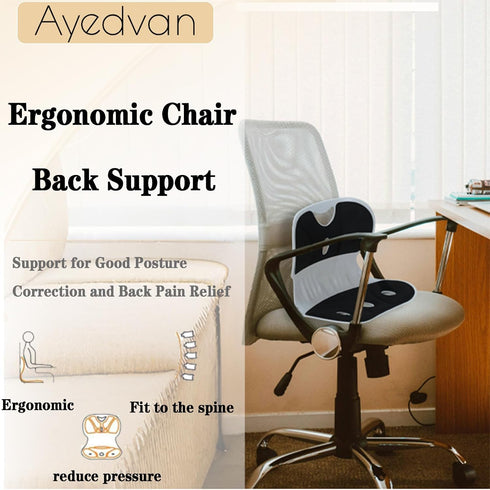 Ergonomic Back and Lumbar Support with Detachable Cover,for Good Posture Correction and Pain Relief,for Offices,Floor
