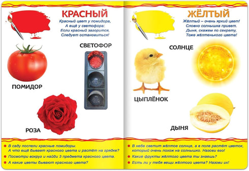 Set 4 12+ of Mixed Educational Cardboard Russian Books - Learn to Read Russian Alphabet Flash Cards - Animal Azbuka