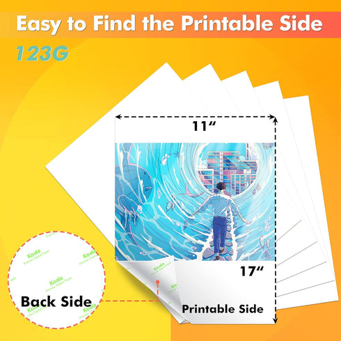 Koala Sublimation Paper 11x17 inches - 100 Sheets, 123g, Easy to DIY T-shirts, Tumblers, Mugs