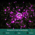 JJGoo Solar Garden Lights, 2 Pack 120 LEDs Solar Firework Lights for Outdoor Decor