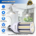 Amazon High Brightness LED Light Bulb, 2 Pack, 30W-300W/LED Corn Bulb, E26 Base, 5000K, Suitable for Garage, Workshop