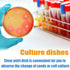 50 Pack Plastic Petri Dishes with Lids, 90 x 15mm Sterile for Medical, Biological, School Science Projects