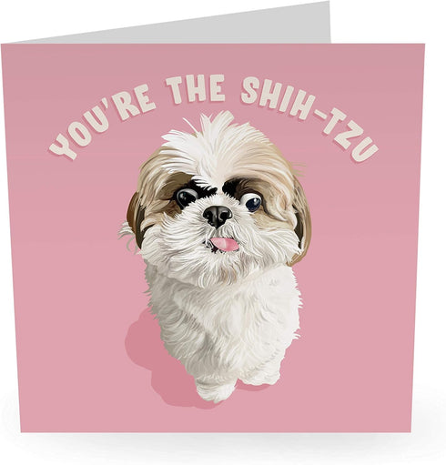 CENTRAL 23 Cute Animal Birthday Card - “You’re The Shih-Tzu” - For Men & Women - Includes Fun Stickers