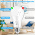 LED Light Bulbs, 100 Watt Equivalent A19, 13W 5000K Daylight White, 1500 Lumens, 4-Pack