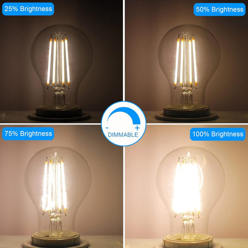 Energetic Dimmable LED Filament Light Bulbs, 8W, 60 Watt Equivalent, Warm White 3000K, A19, 6 Pack