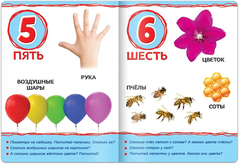 Set 4 12+ of Mixed Educational Cardboard Russian Books - Learn to Read Russian Alphabet Flash Cards - Animal Azbuka