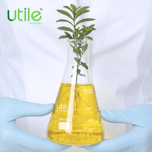 Utile Glass Erlenmeyer Flask Set - 50ml Narrow Mouth Borosilicate 3.3 Glass Flasks, 6pcs for Laboratory