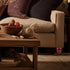 2pcs 8cm Homoyoyo Small Solid Wood Furniture Legs with Screw Thread, Wooden Sofa and Cabinet Feet Replacement