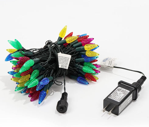 C6 33ft 100 29V 8 WATERGLIDE Christmas Lights, LED Faceted String Lights Green Wire Fairy Lights with Safe Adaptor