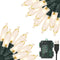 Green Convenience Christmas Lights 33ft 100 LED Battery String Lights with Timer