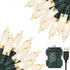Green Convenience Christmas Lights 33ft 100 LED Battery String Lights with Timer