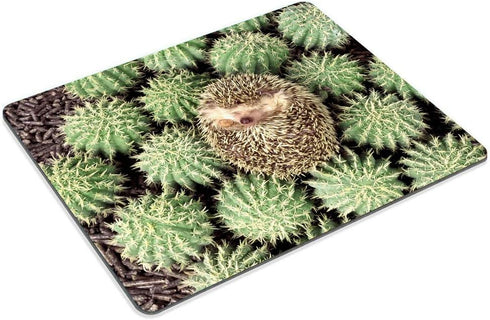 Smooffly Custom Gaming Mouse Pad - Animals Plants Hedgehogs Cactus Thorns Design