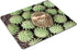 Smooffly Custom Gaming Mouse Pad - Animals Plants Hedgehogs Cactus Thorns Design