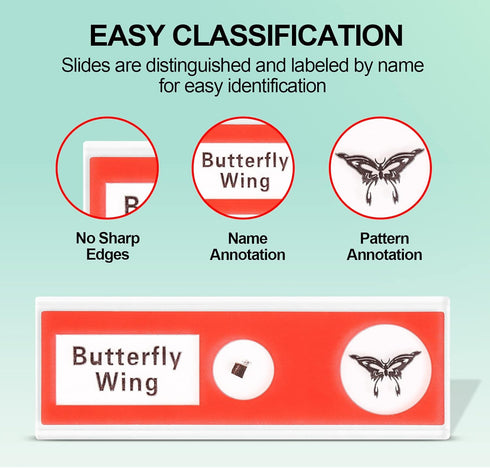 Prepared Plastic Microscope Slides with Specimens for Kids, 60PCS Animal/Plant/Insect/Blood Biology Slides