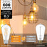 12 Pack Dimmable Bulbs 60Watt, E26 Bulbs 60 2700K, ST58 Bulb 6W 600LM MorningLight Vintage LED Edison LED Edison Watt